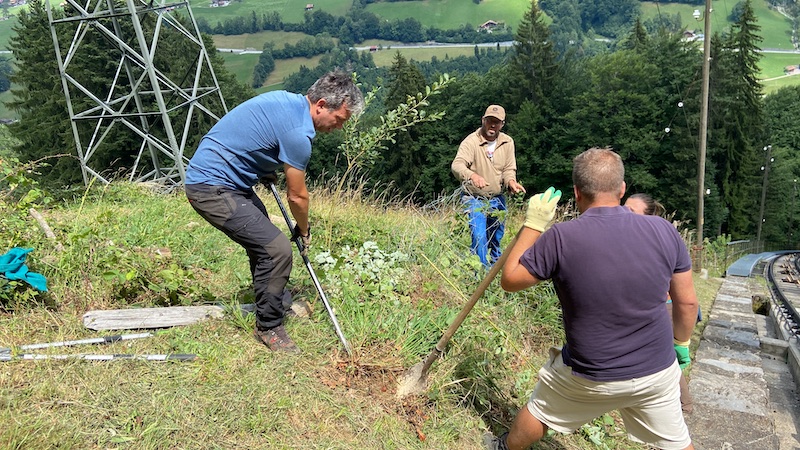 Bruno, Stefan and Andreas erecting a fence during VTO