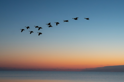 What it takes to migrate your contact center from on-premises to cloud