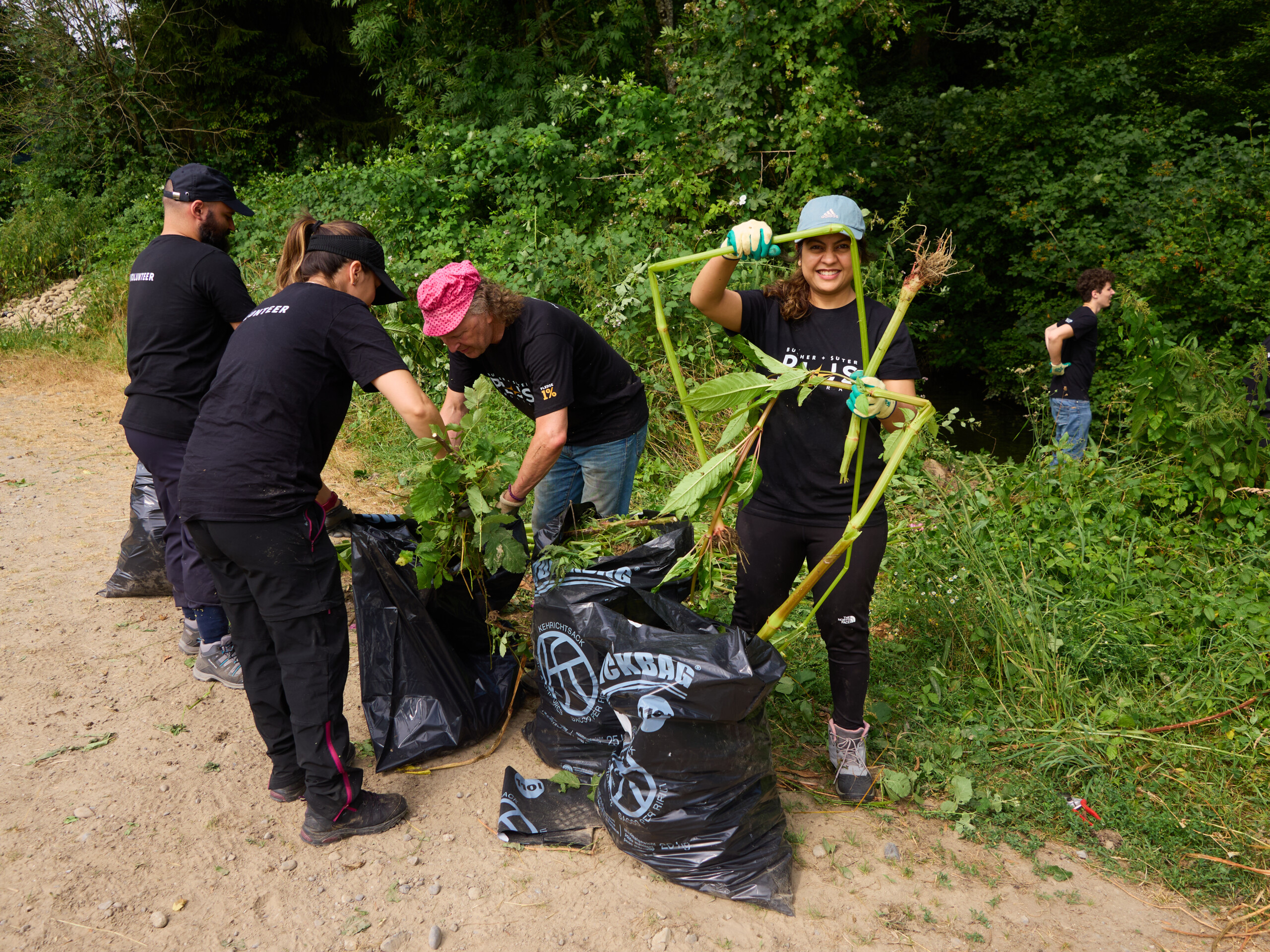 packing up the bags with plants