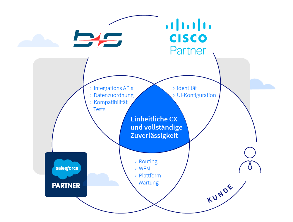 cisco und salesforce geteilte verantwortlichkeiten