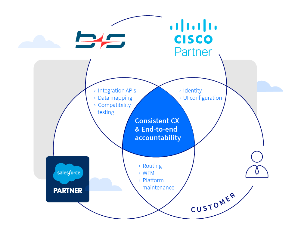 cisco and salesforce shared responsibilities