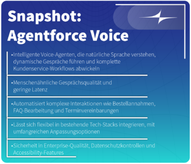 graphic ki case enersuisse snapshot agentforce voice